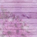 gerbera, lilac, pink-2157527.jpg